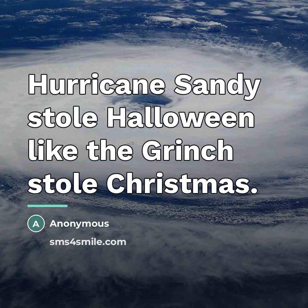 “Hurricane Sandy stole Halloween like the Grinch stole Christmas.…” quote by Anonymous