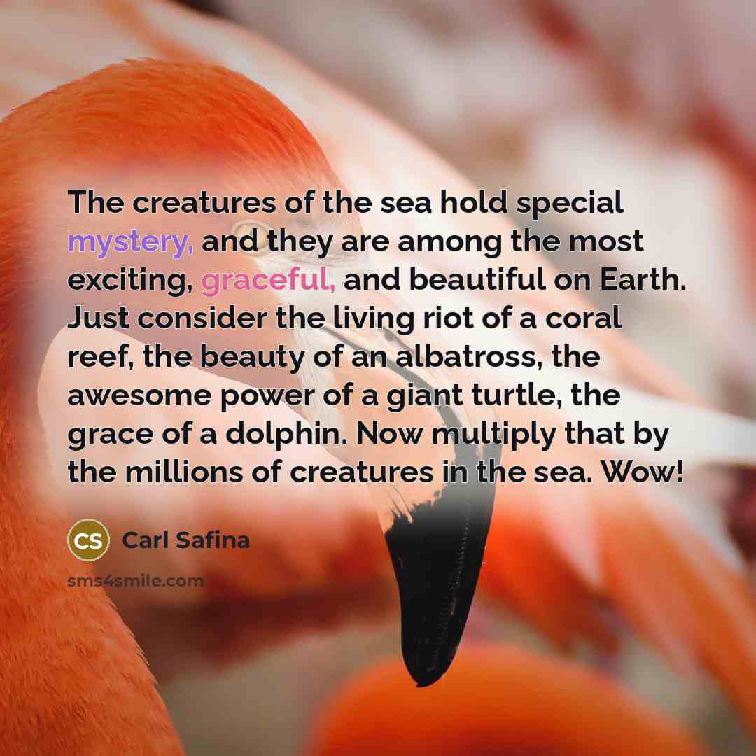 “The creatures of the sea hold special mystery, and they…” quote by Carl Safina
