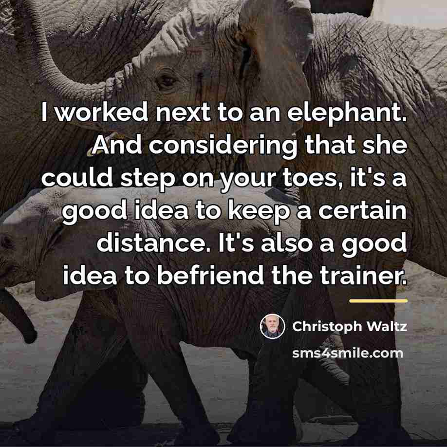“I worked next to an elephant. And considering that she…” quote by Christoph Waltz