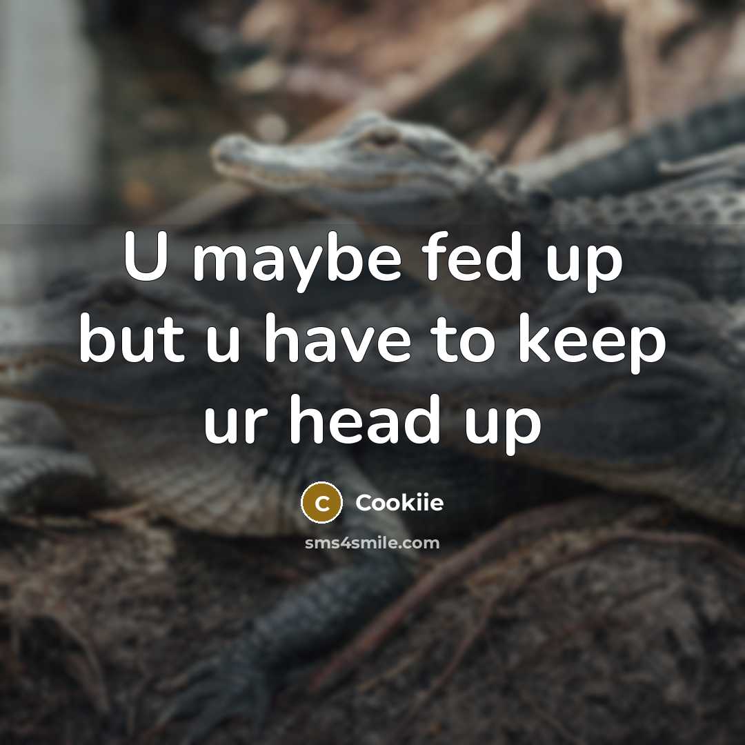 “U maybe fed up but u have to keep ur…” quote by Cookiie
