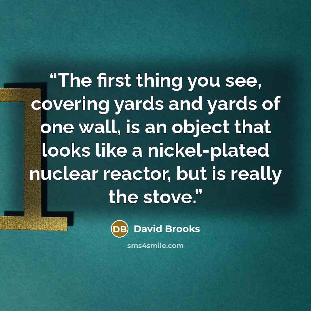 “The first thing you see, covering yards and yards of one wall, is an object that looks like a nickel-plated nuclear reactor, but is really the stove.” quote by David Brooks
