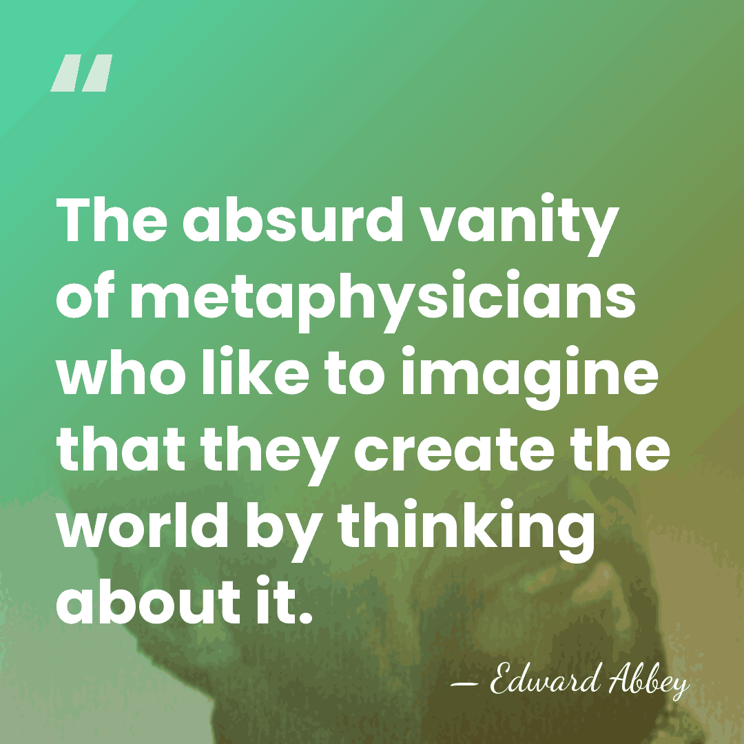 The absurd vanity of metaphysicians who like to imagine that they create&hellip; - Edward Abbey