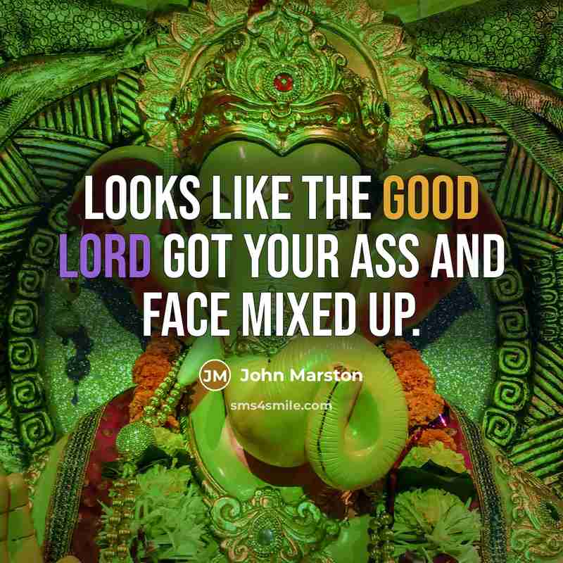 “Looks like the good Lord got your ass and face…” quote by John Marston