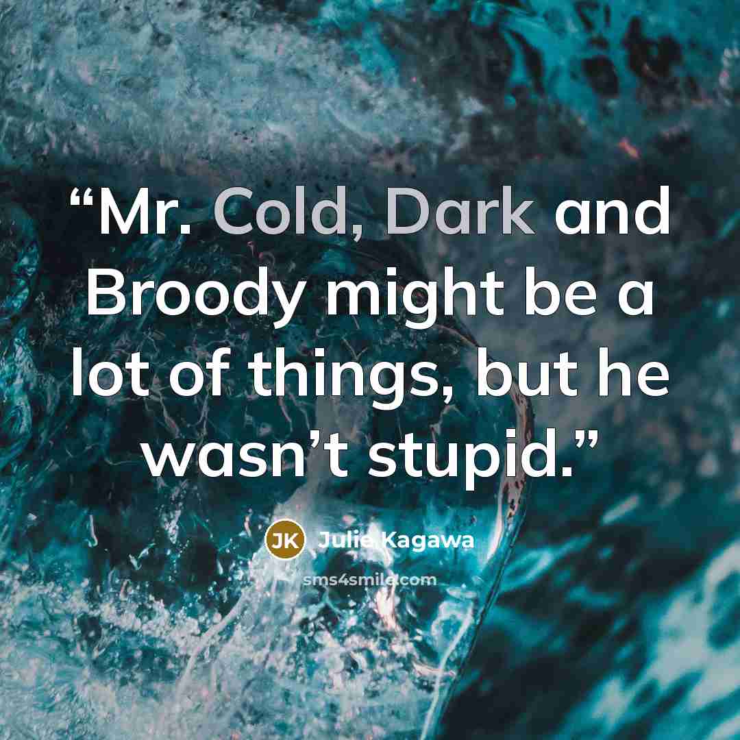 “Mr. Cold, Dark and Broody might be a lot of things, but he wasn’t stupid.” quote by Julie Kagawa