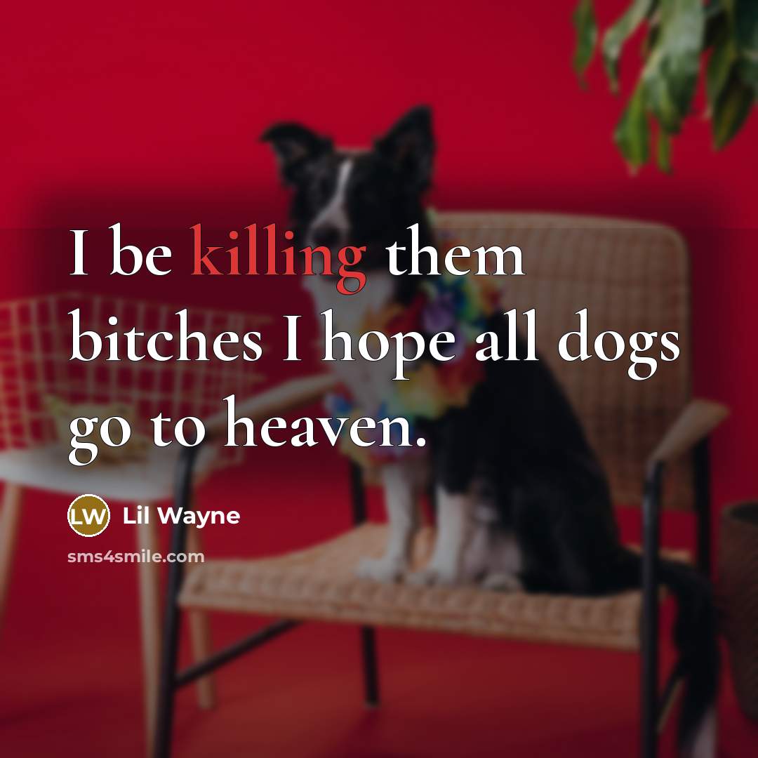 “I be killing them bitches I hope all dogs go…” quote by Lil Wayne