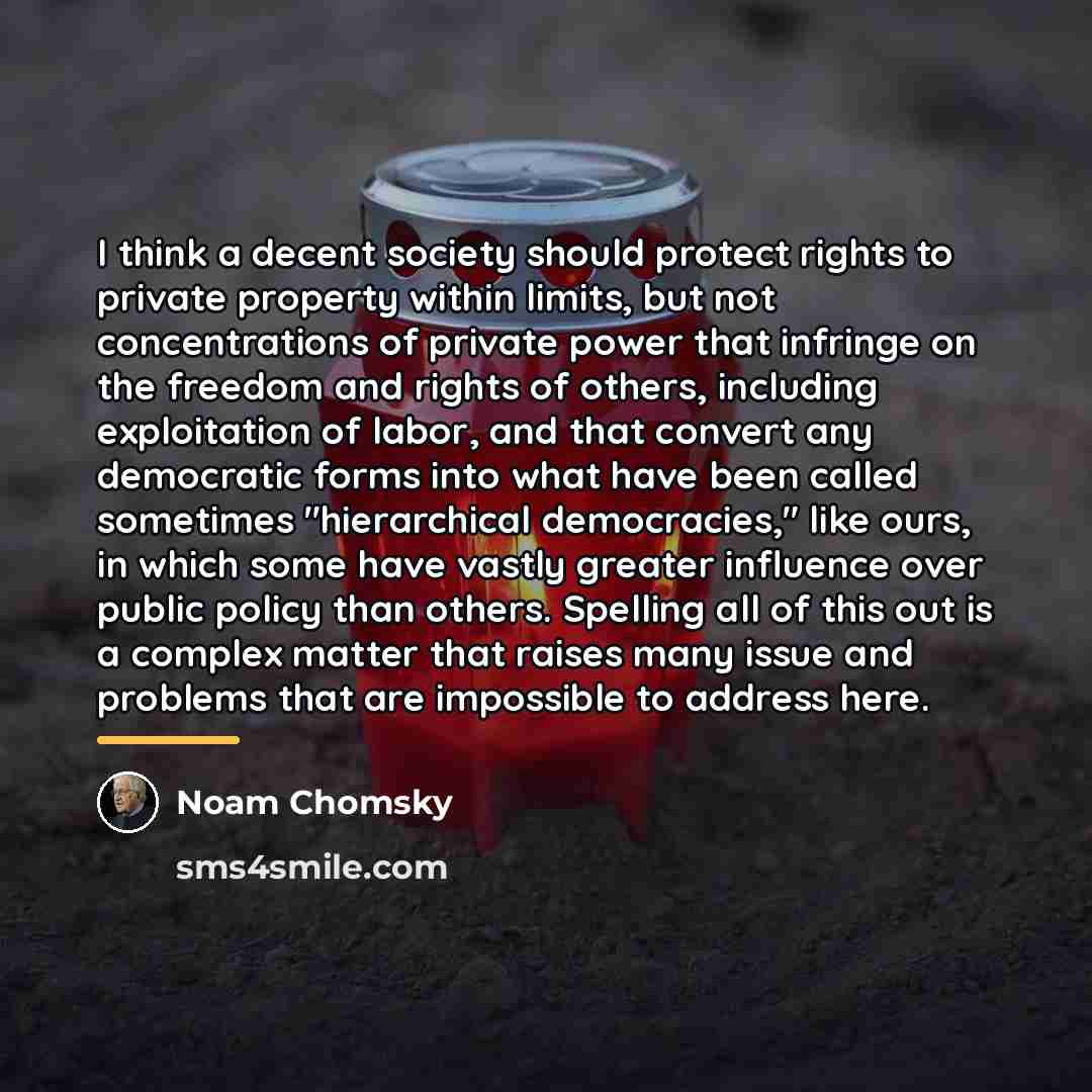 “I think a decent society should protect rights to private…” quote by Noam Chomsky