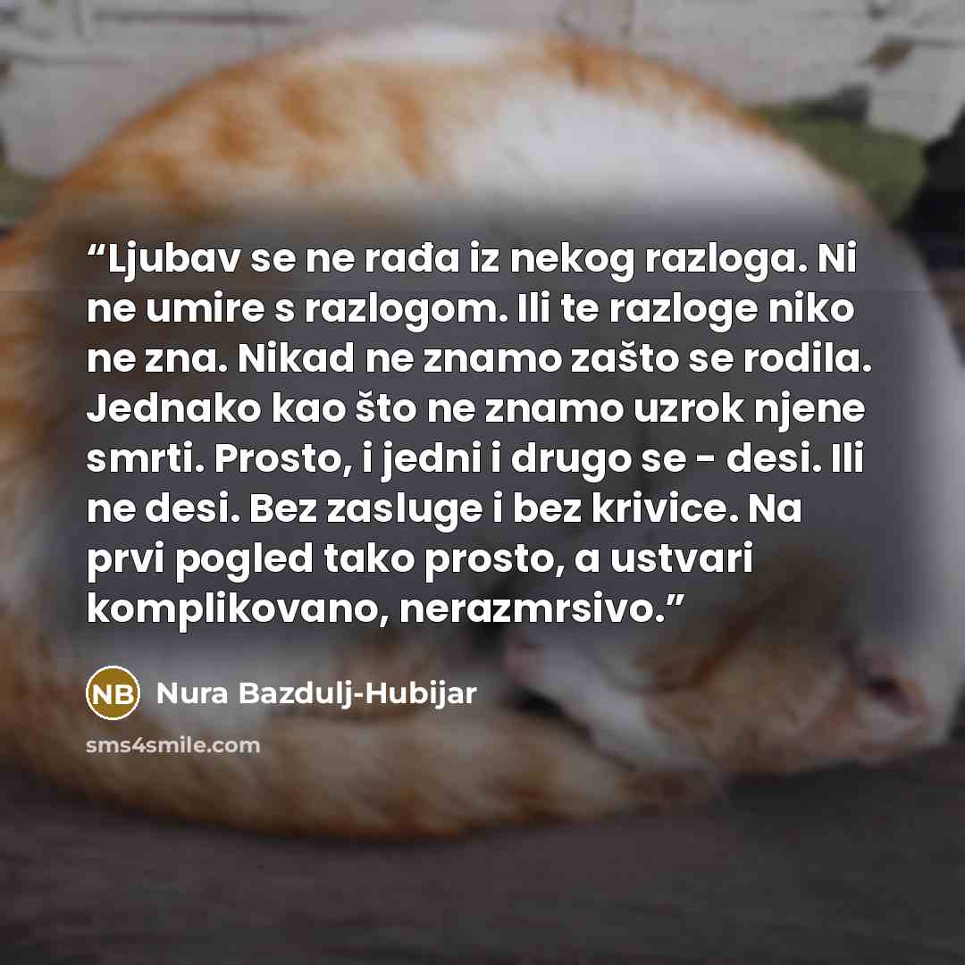 “Ljubav se ne rađa iz nekog razloga. Ni ne umire s razlogom. Ili te razloge niko ne zna. Nikad ne znamo zašto se rodila. Jednako kao što ne znamo uzrok njene smrti. Prosto, i jedni i drugo se - desi. Ili ne desi. Bez zasluge i bez krivice. Na prvi pogled tako prosto, a ustvari komplikovano…” quote by Nura Bazdulj-Hubijar