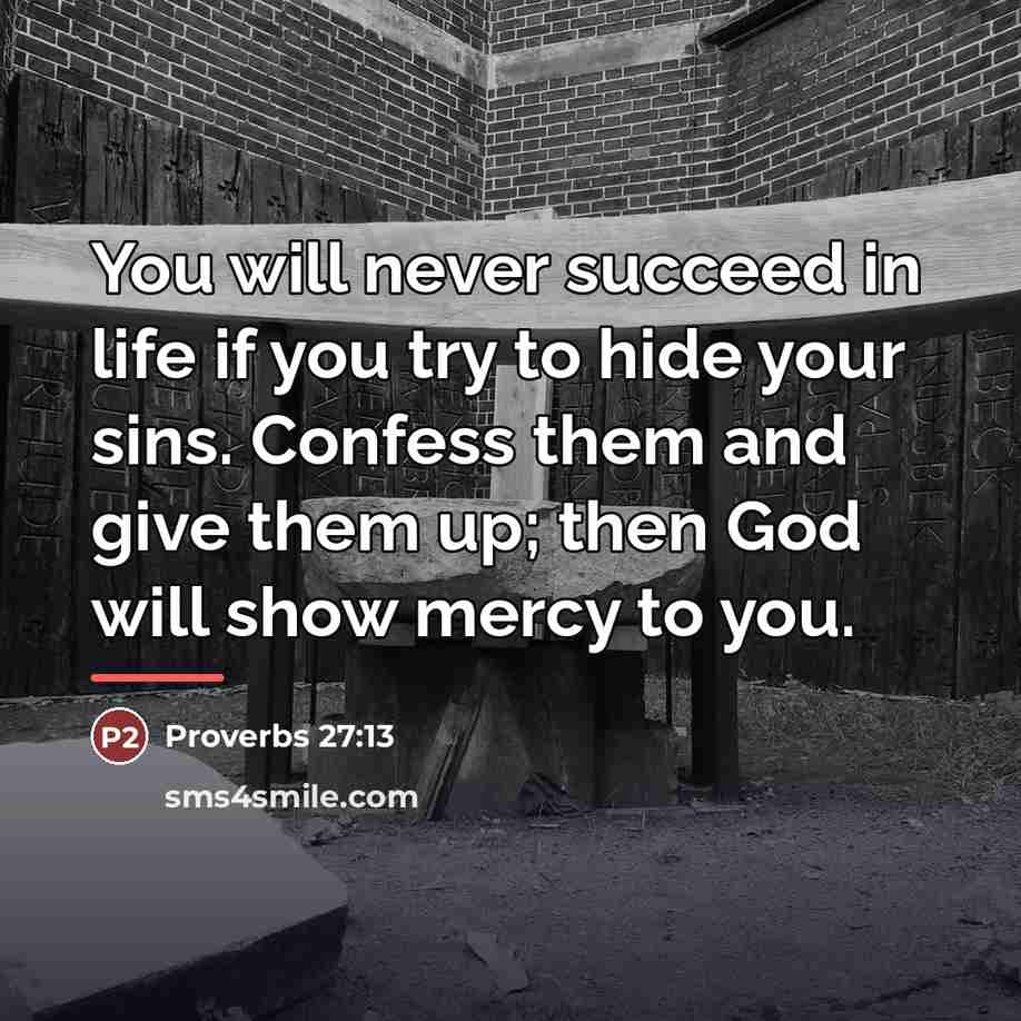 “You will never succeed in life if you try to…” quote by Proverbs 27:13