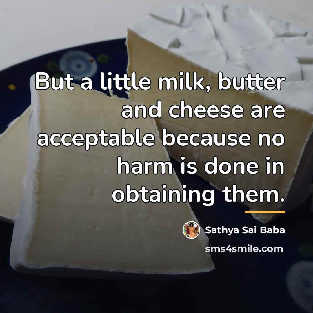 “But a little milk, butter and cheese are acceptable because…” quote by Sathya Sai Baba