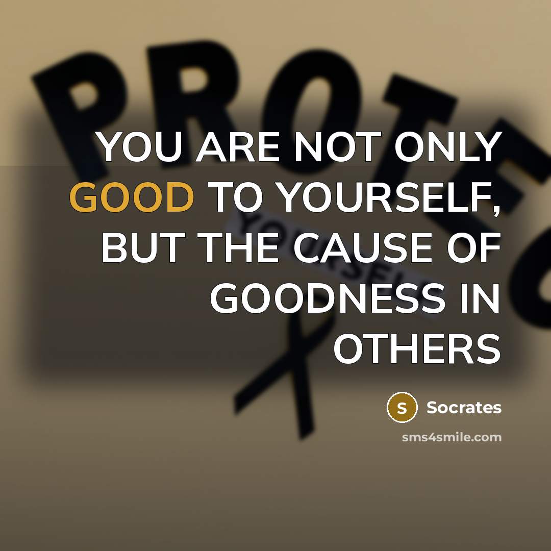 “YOU ARE NOT ONLY GOOD TO YOURSELF, BUT THE CAUSE…” quote by Socrates