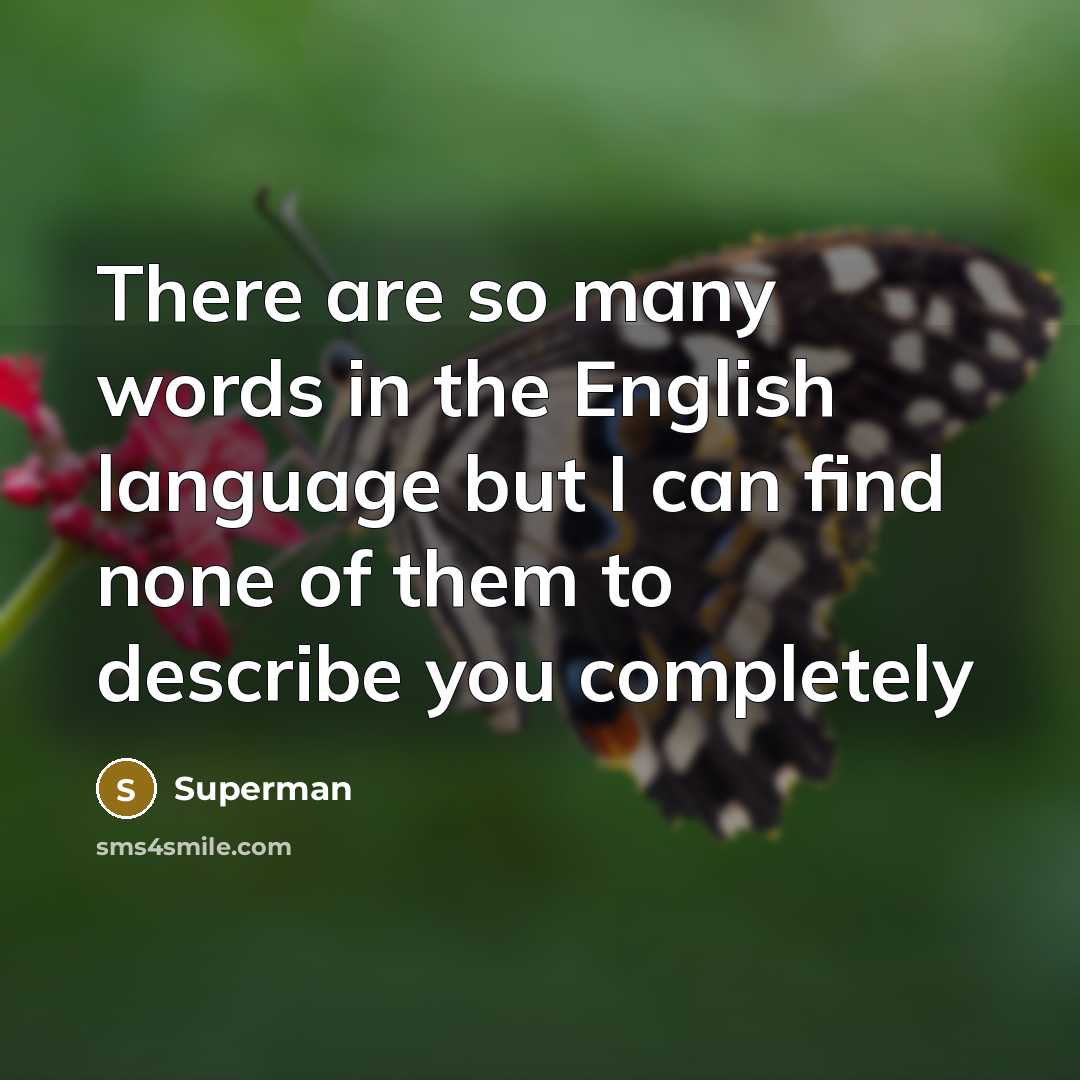 “There are so many words in the English language but…” quote by Superman