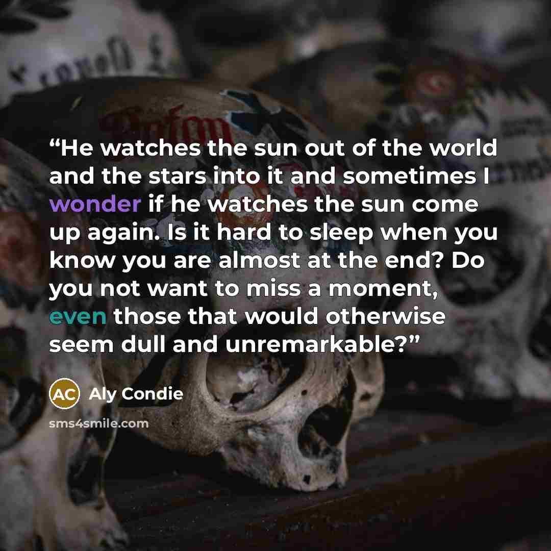 “He watches the sun out of the world and the stars into it and sometimes I wonder if he watches the sun come up again. Is it hard to sleep when you know you are almost at the end? Do you not want to miss a moment, even those that would otherwise seem dull and unremarkable?” quote by Aly Condie