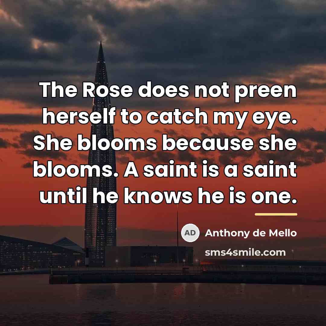 “The Rose does not preen herself to catch my eye.…” quote by Anthony de Mello