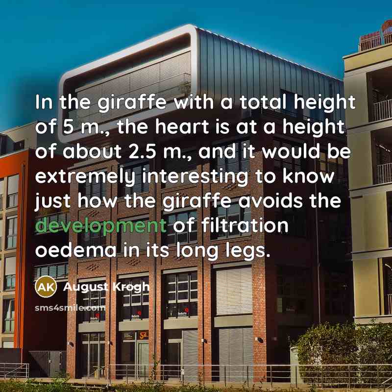 “In the giraffe with a total height of 5 m.,…” quote by August Krogh