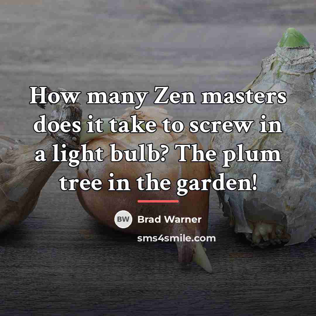 “How many Zen masters does it take to screw in…” quote by Brad Warner