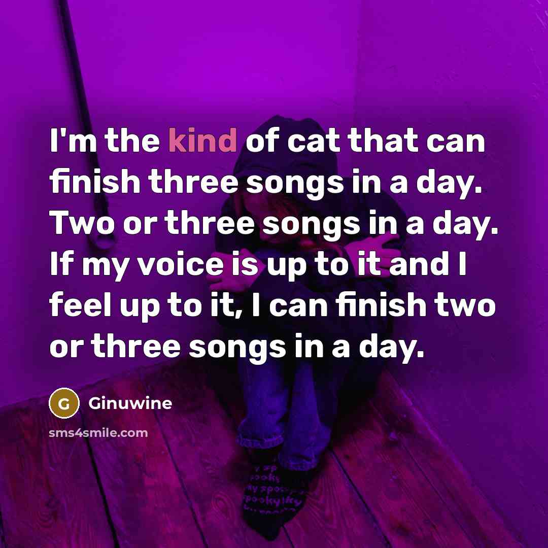“I'm the kind of cat that can finish three songs…” quote by Ginuwine
