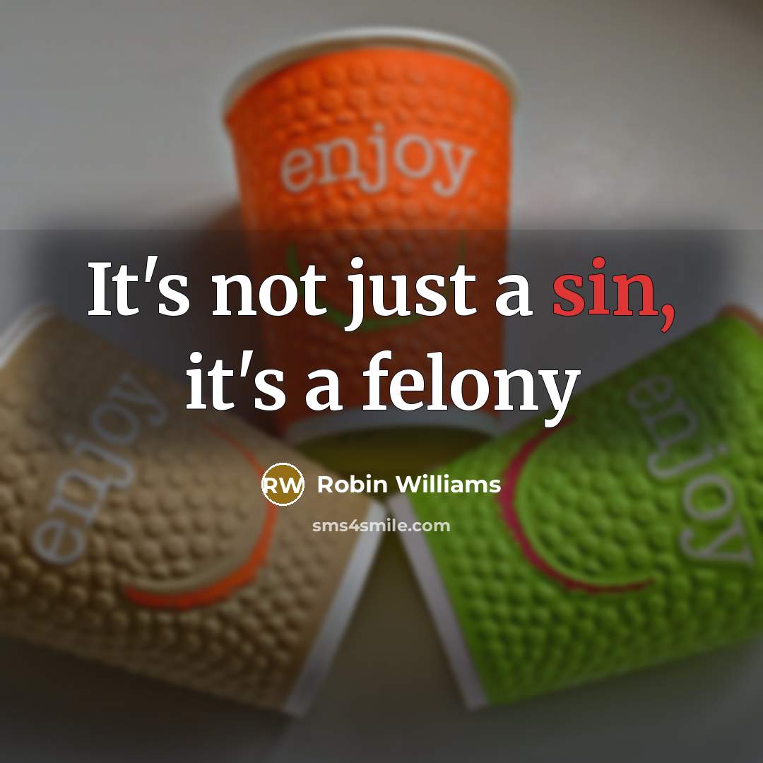 “It's not just a sin, it's a felony…” quote by Robin Williams