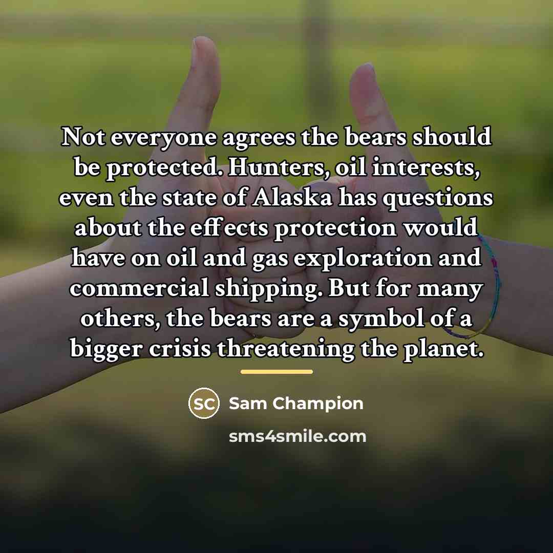 “Not everyone agrees the bears should be protected. Hunters, oil…” quote by Sam Champion