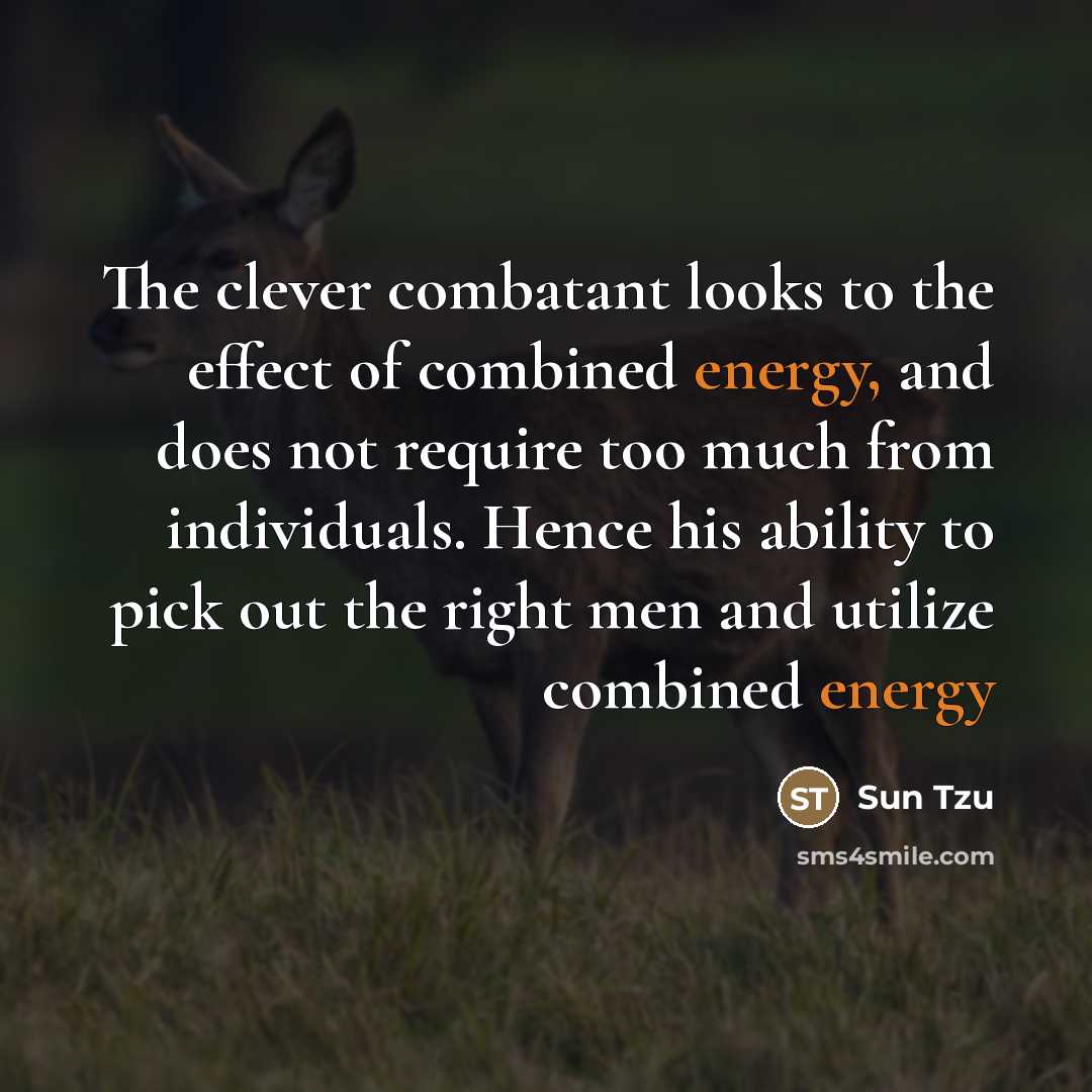“The clever combatant looks to the effect of combined energy,…” quote by Sun Tzu