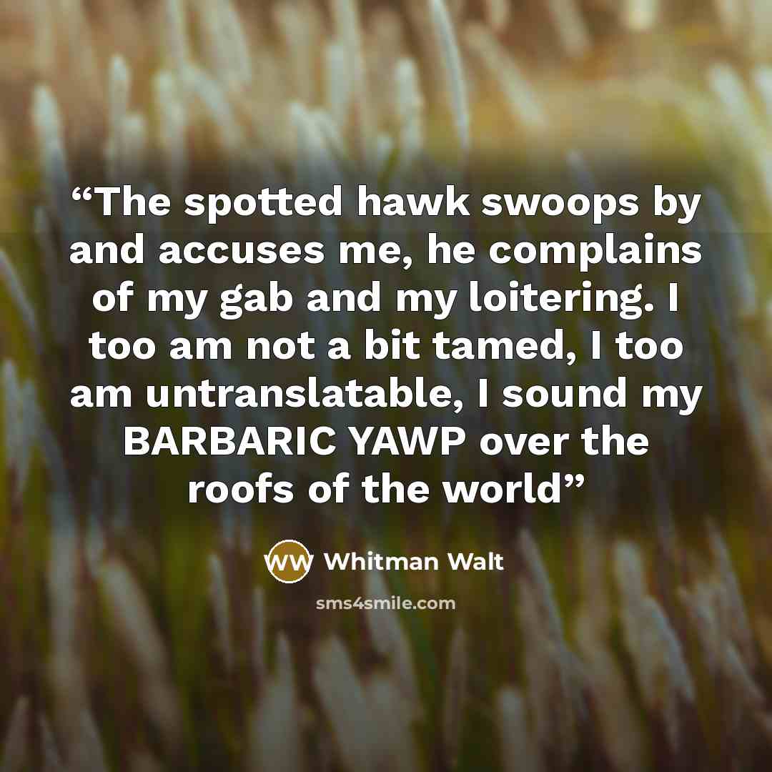 “The spotted hawk swoops by and accuses me, he complains of my gab and my loitering. I too am not a bit tamed, I too am untranslatable, I sound my BARBARIC YAWP over the roofs of the world” quote by Whitman Walt