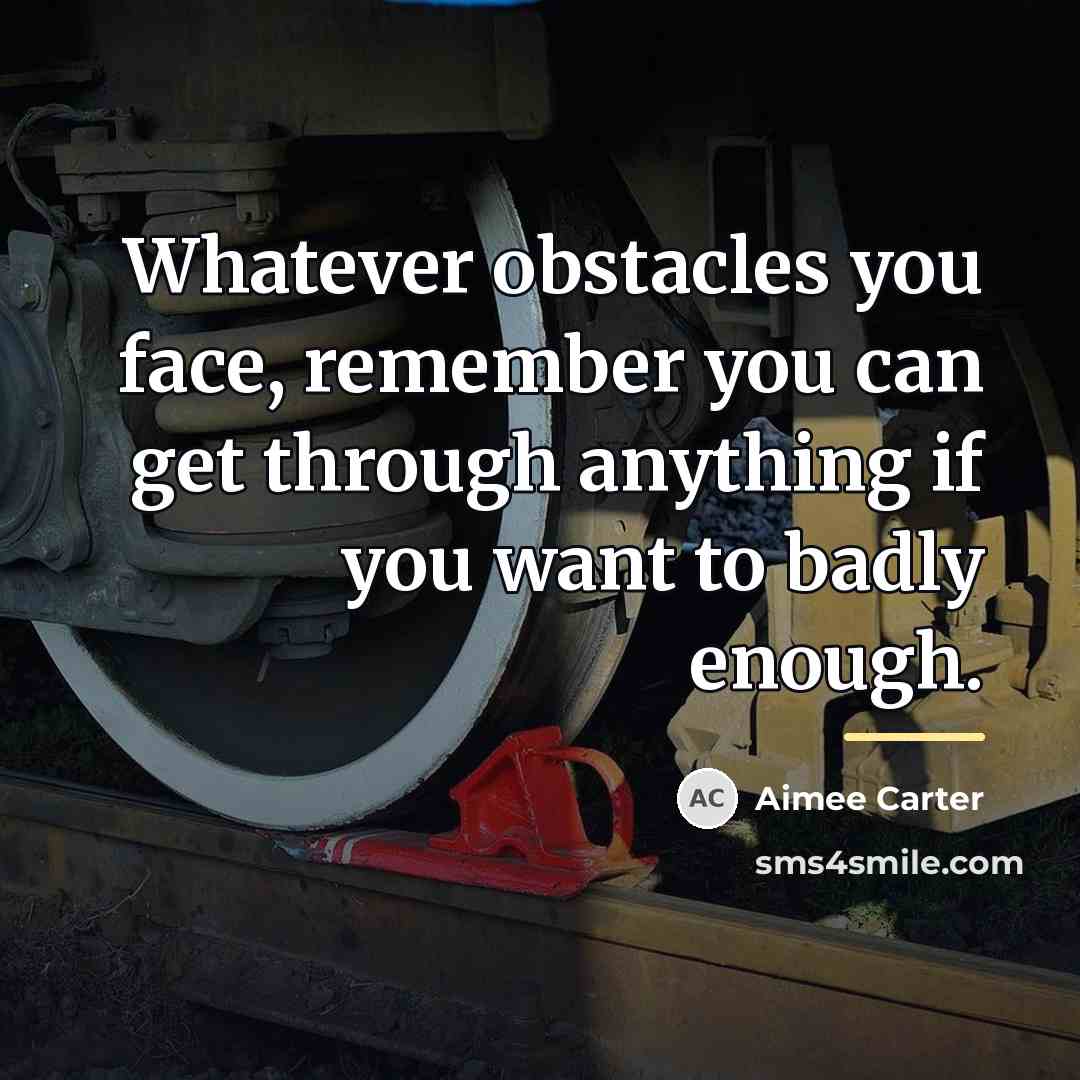 “Whatever obstacles you face, remember you can get through anything…” quote by Aimee Carter