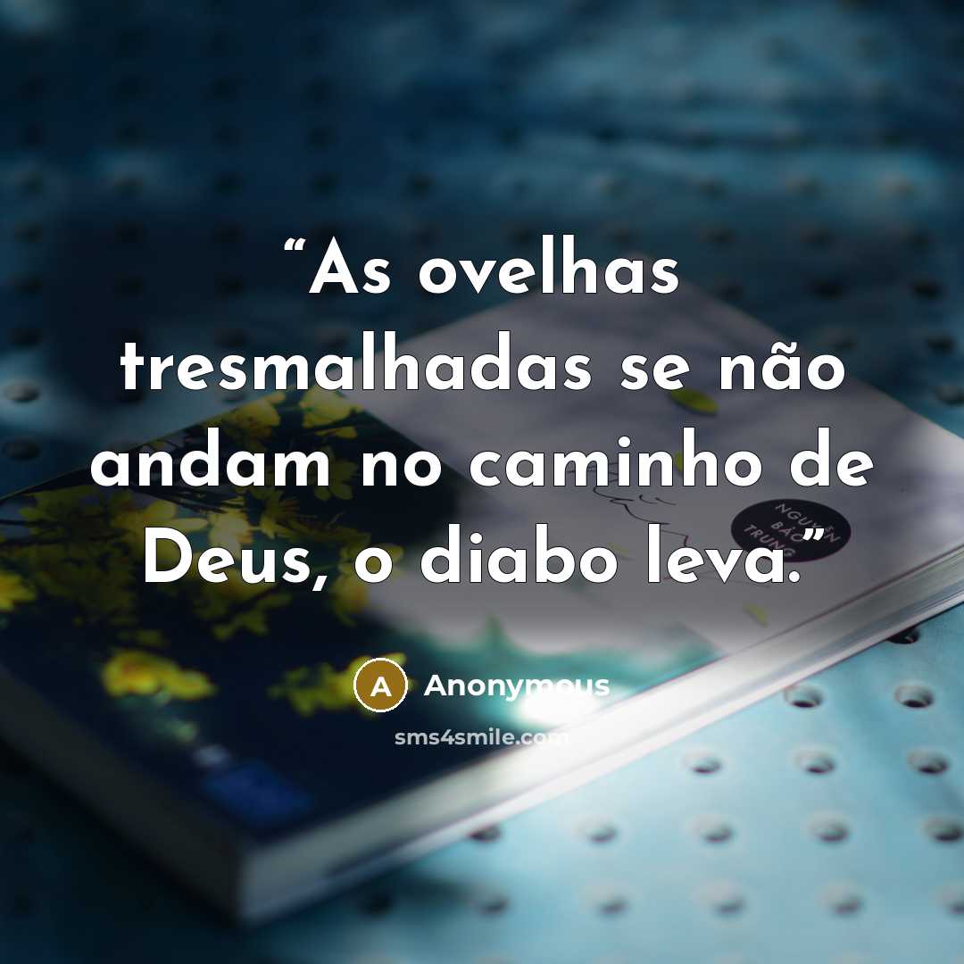 “As ovelhas tresmalhadas se não andam no caminho de Deus, o diabo leva.” quote by Anonymous