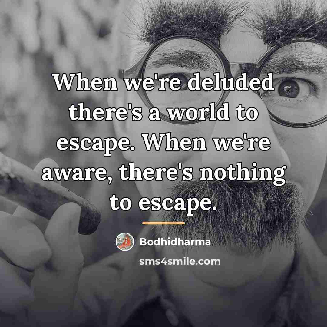 “When we're deluded there's a world to escape. When we're…” quote by Bodhidharma