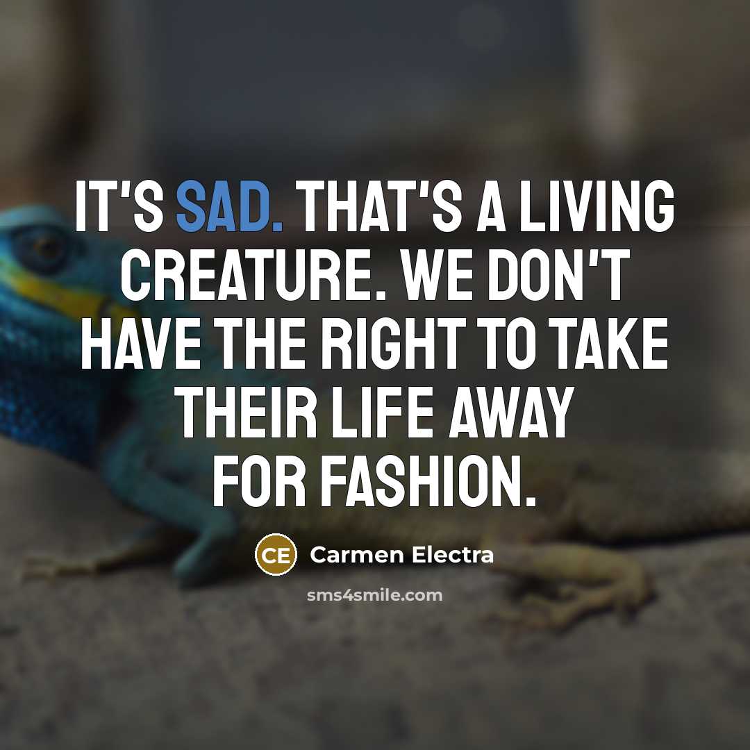 “It's sad. That's a living creature. We don't have the…” quote by Carmen Electra