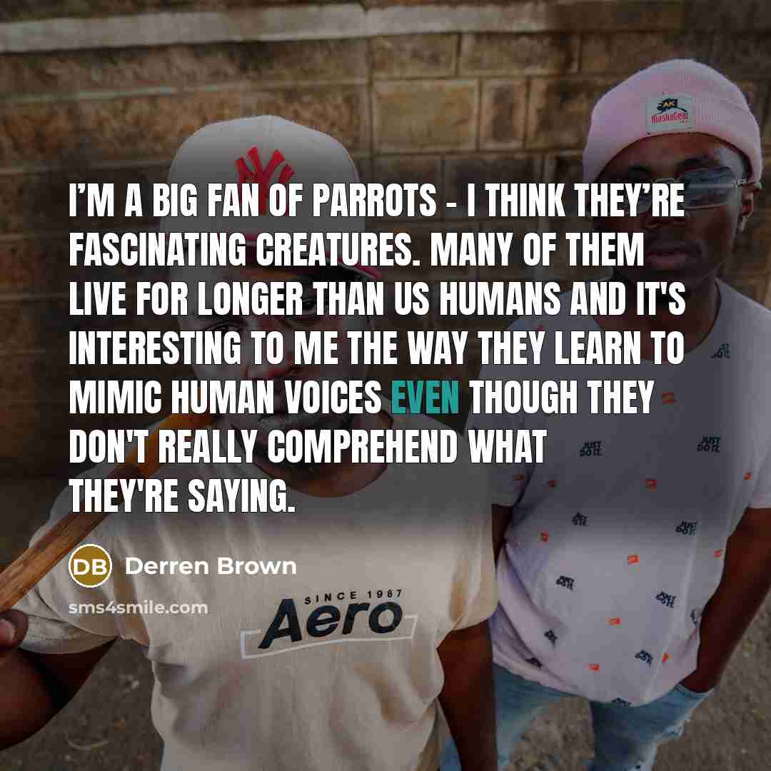 “I’m a big fan of parrots - I think they’re…” quote by Derren Brown