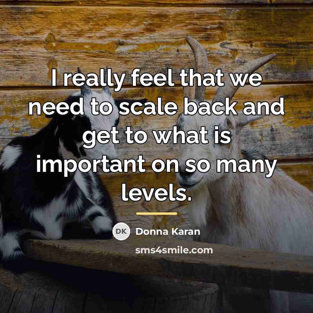 “I really feel that we need to scale back and…” quote by Donna Karan