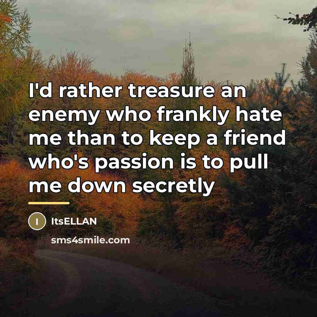 “I'd rather treasure an enemy who frankly hate me than…” quote by ItsELLAN