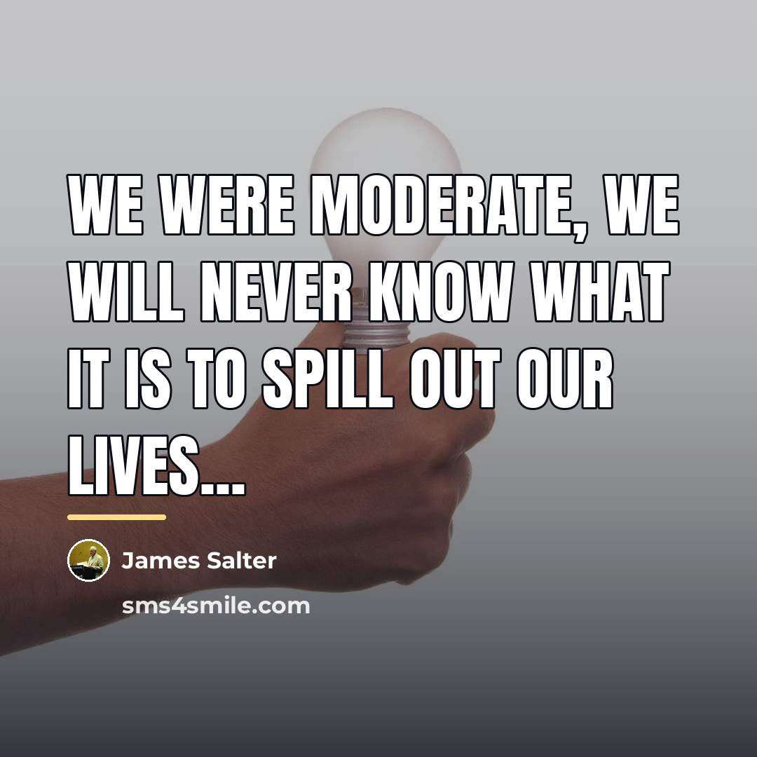 “We were moderate, we will never know what it is…” quote by James Salter