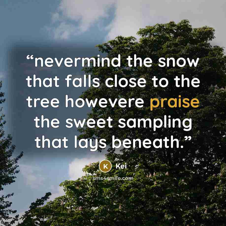 “nevermind the snow that falls close to the tree howevere praise the sweet sampling that lays beneath.” quote by kei