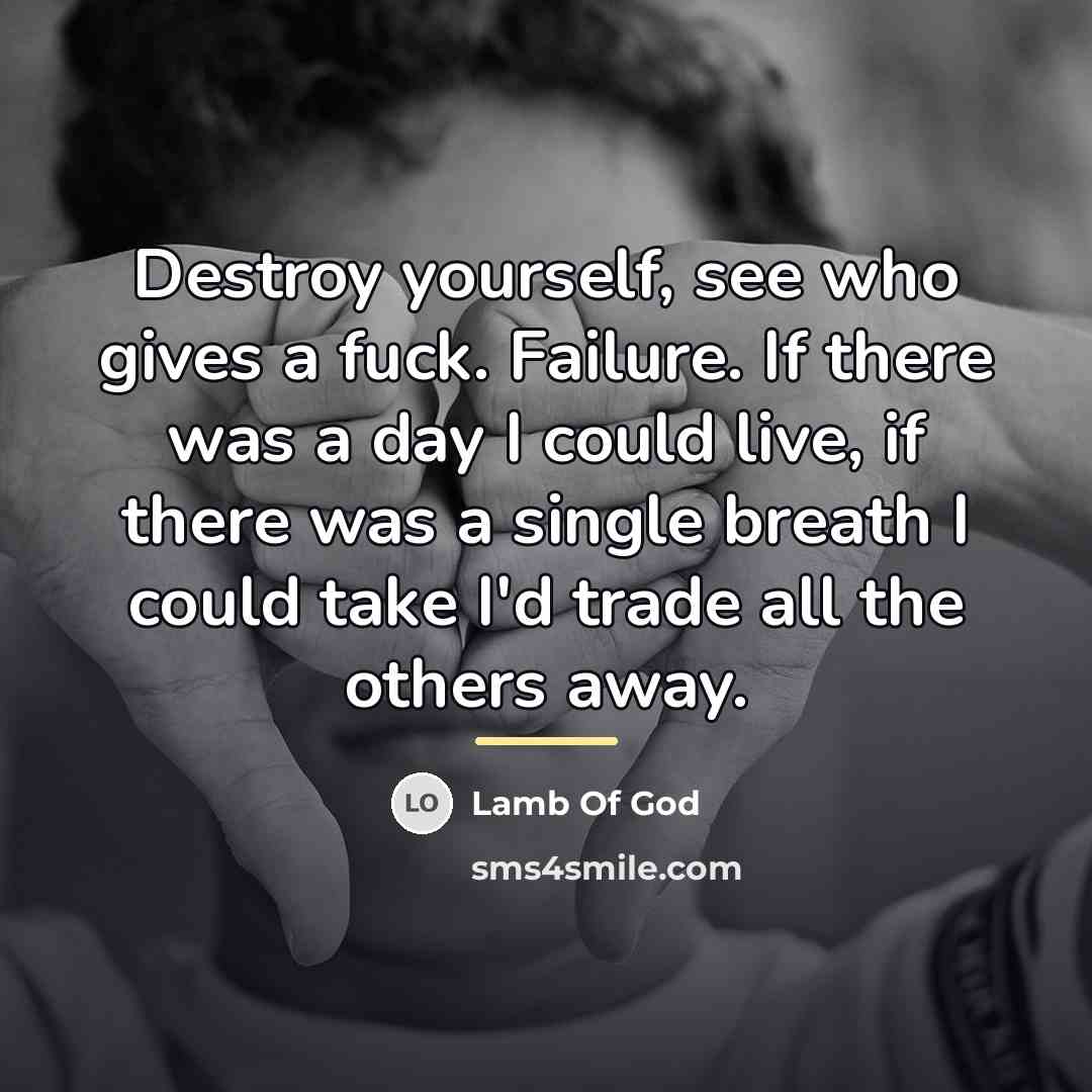 “Destroy yourself, see who gives a fuck. Failure. If there…” quote by Lamb Of God