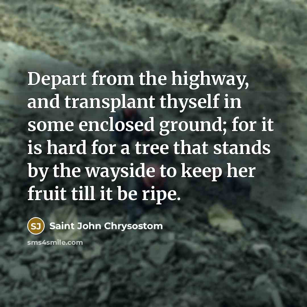 “Depart from the highway, and transplant thyself in some enclosed…” quote by Saint John Chrysostom