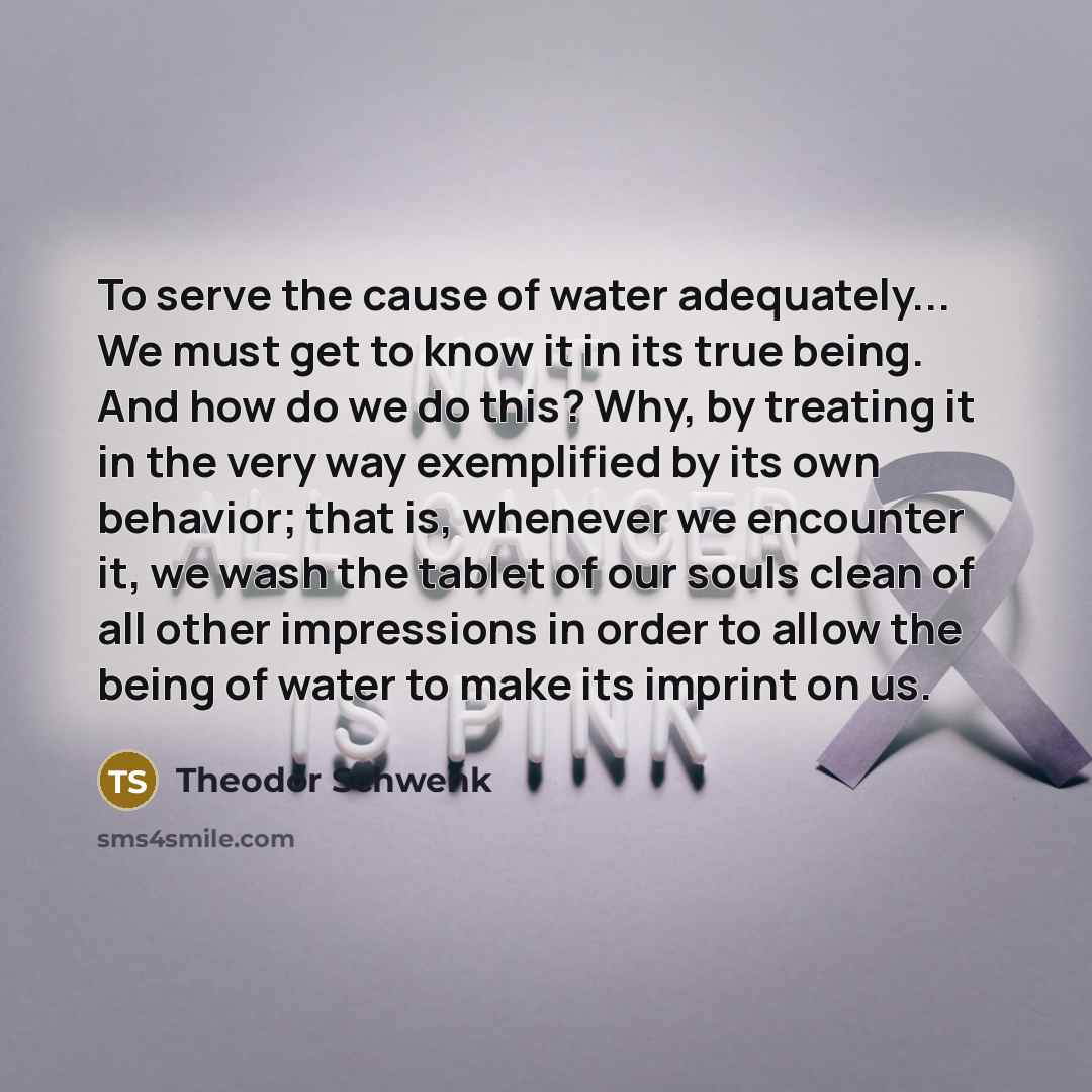 “To serve the cause of water adequately... We must get…” quote by Theodor Schwenk