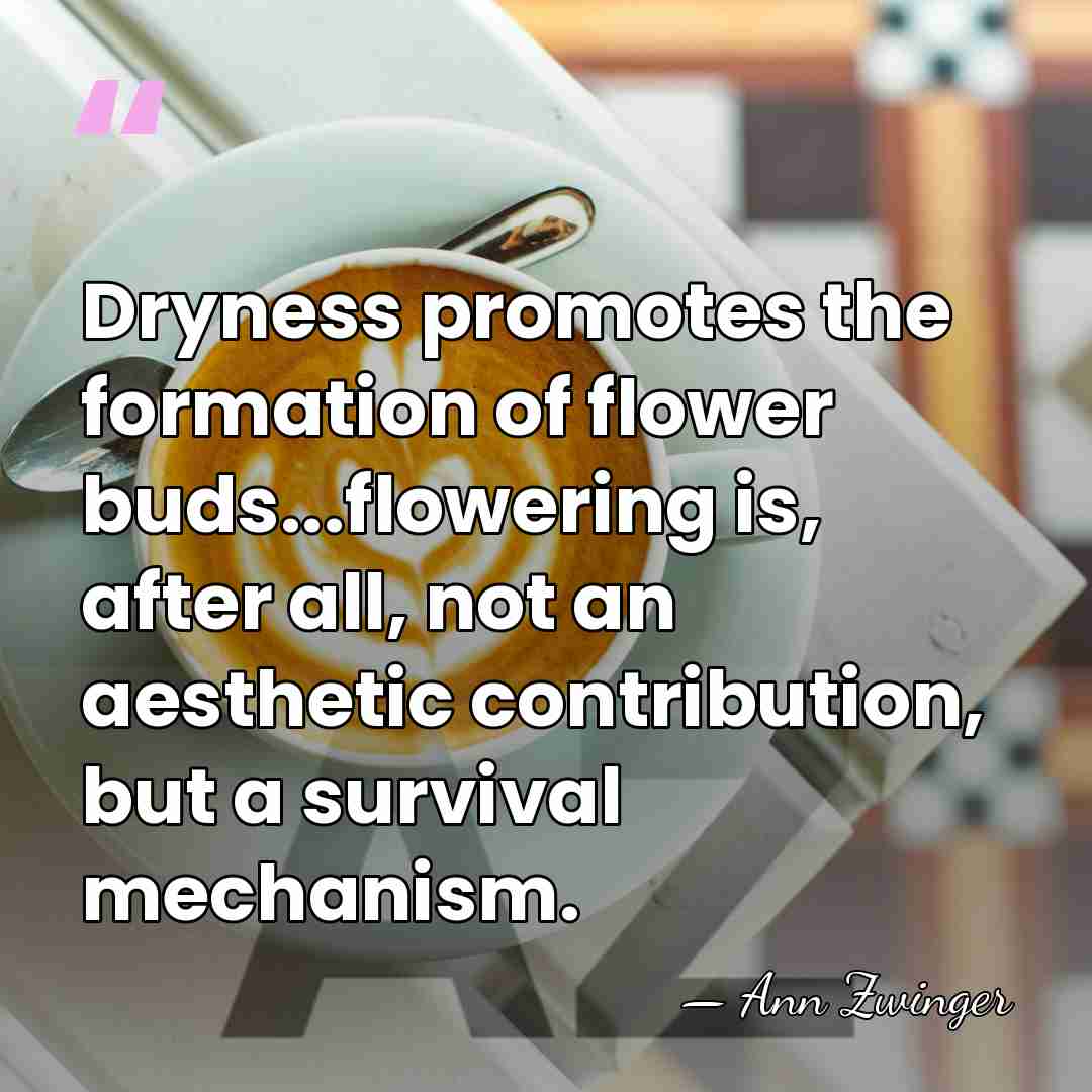 Dryness promotes the formation of flower buds...flowering is, after all, not an&hellip; - Ann Zwinger