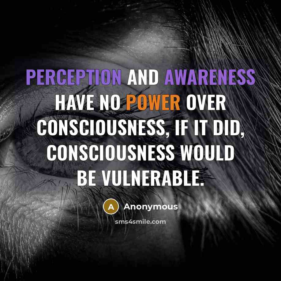 “Perception and awareness have no power over Consciousness, if it did, consciousness would be vulnerable.” quote by Anonymous