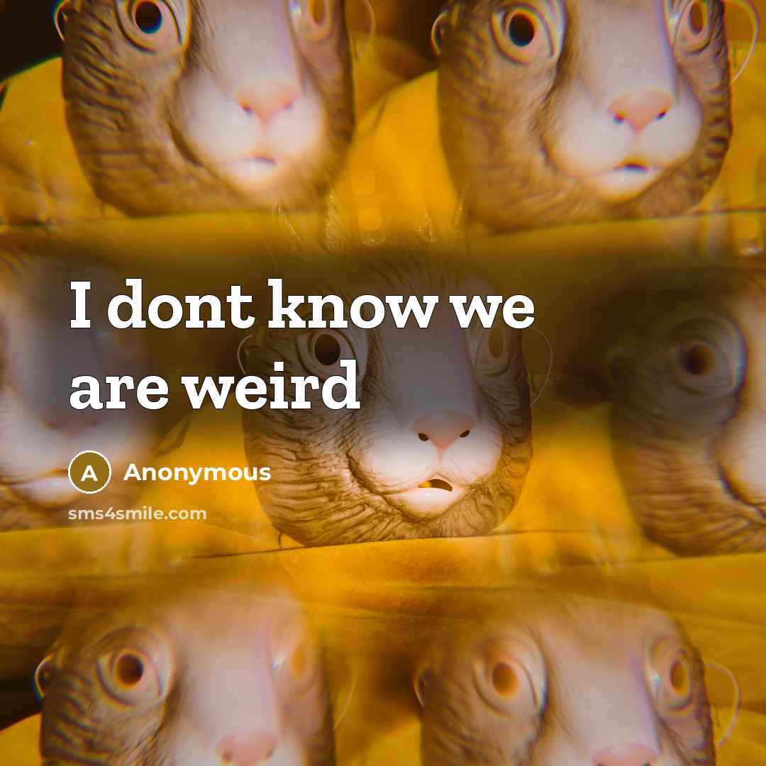 “I dont know we are weird” quote by Anonymous
