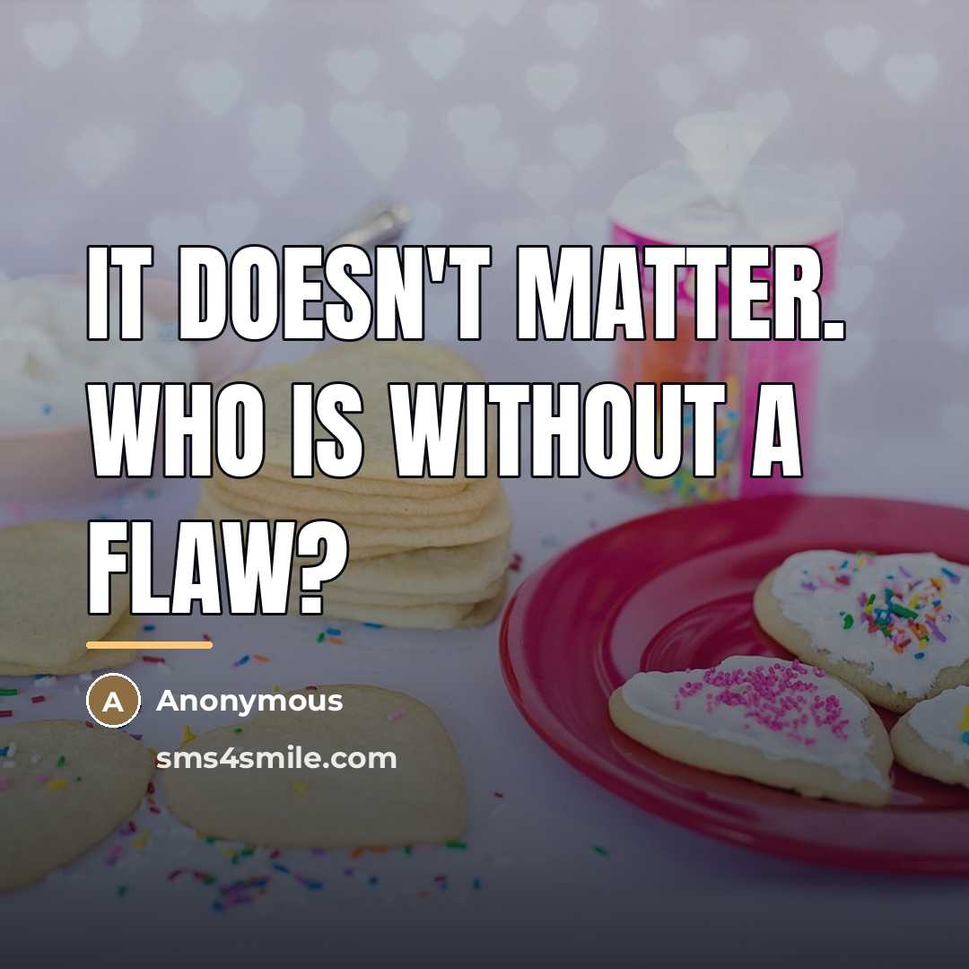 “It doesn't matter. Who is without a flaw?…” quote by Anonymous