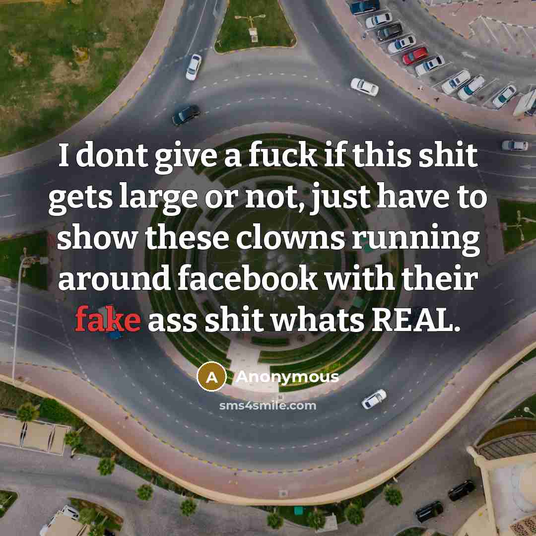“I dont give a fuck if this shit gets large…” quote by Anonymous