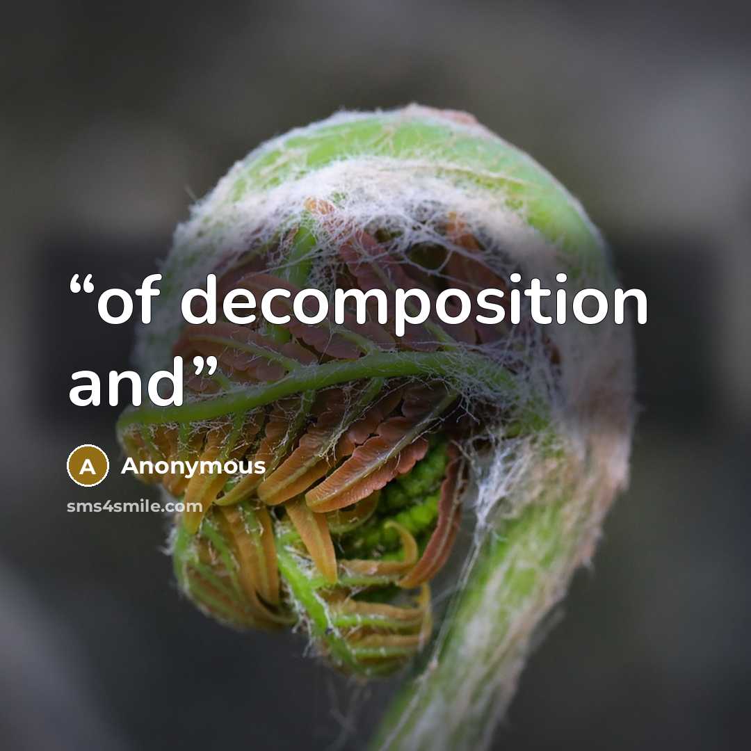 “of decomposition and” quote by Anonymous
