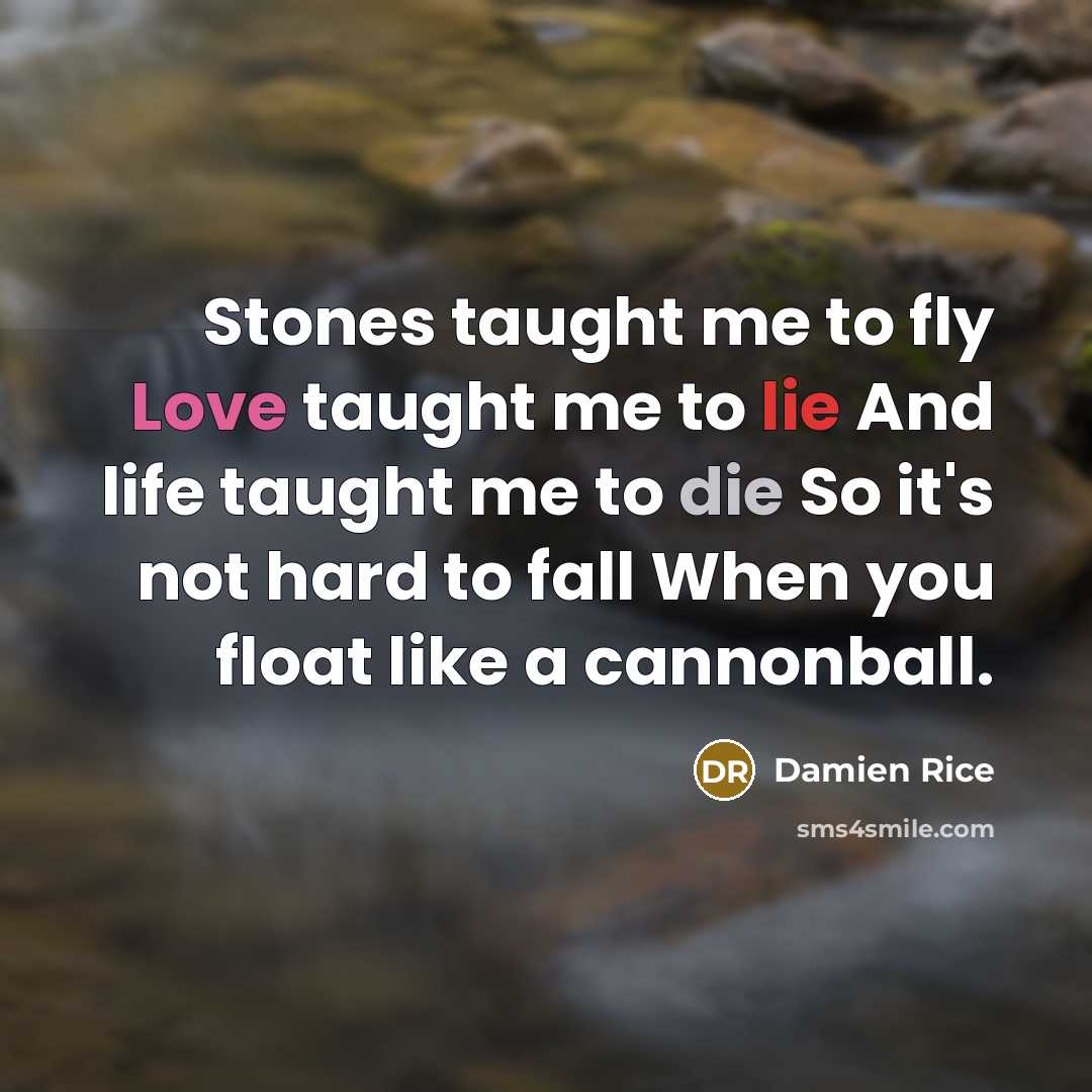 “Stones taught me to fly Love taught me to lie…” quote by Damien Rice