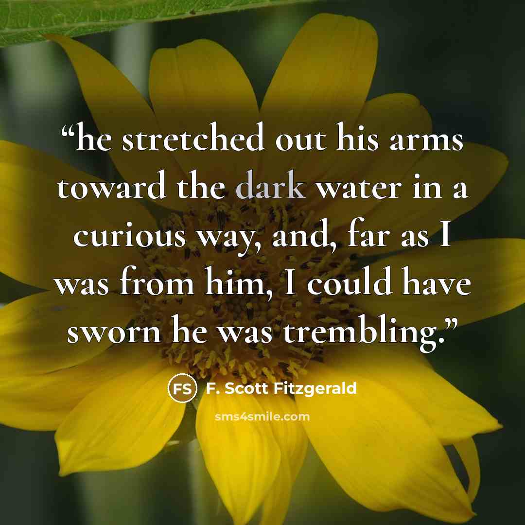“he stretched out his arms toward the dark water in a curious way, and, far as I was from him, I could have sworn he was trembling.” quote by F. Scott Fitzgerald
