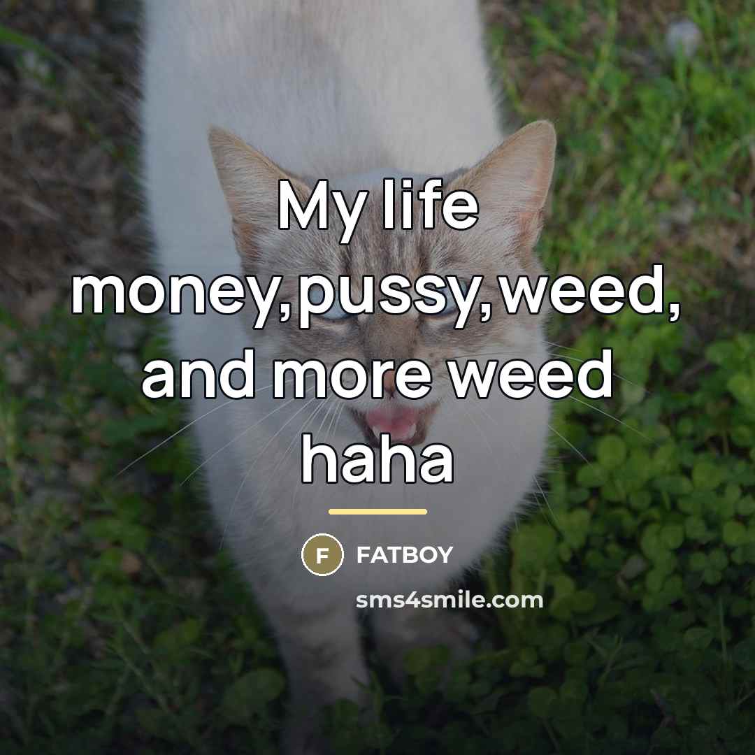 “My life money,pussy,weed, and more weed haha…” quote by Fatboy