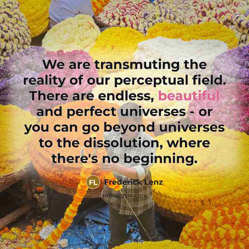 “We are transmuting the reality of our perceptual field. There…” quote by Frederick Lenz