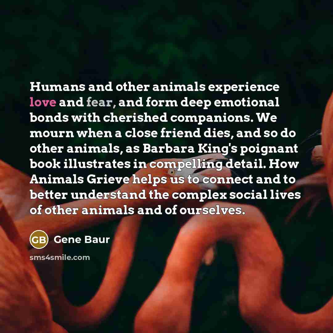 “Humans and other animals experience love and fear, and form…” quote by Gene Baur
