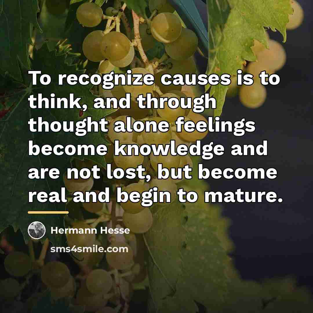“To recognize causes is to think, and through thought alone…” quote by Hermann Hesse