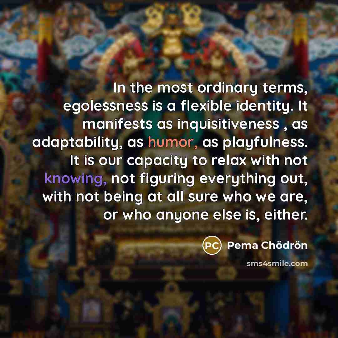 “In the most ordinary terms, egolessness is a flexible identity.…” quote by Pema Chodron