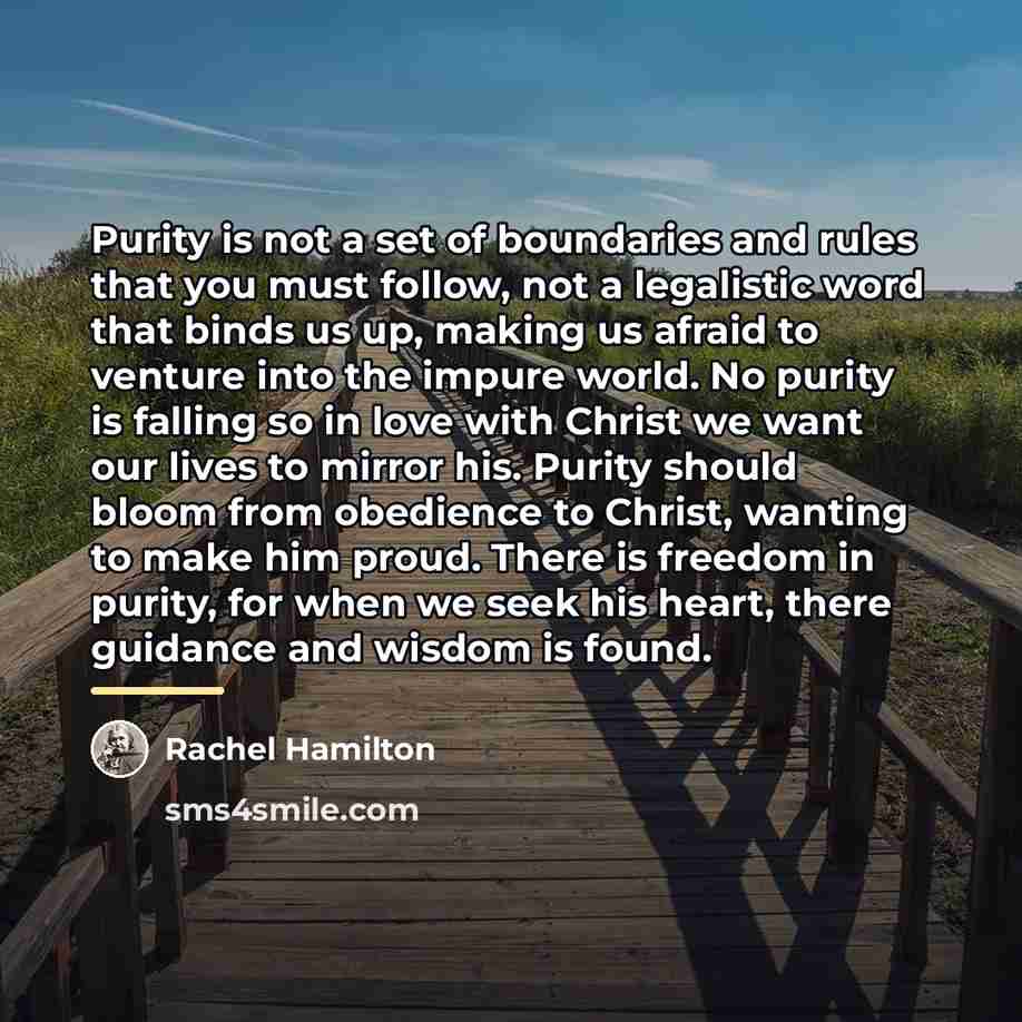 “Purity is not a set of boundaries and rules that…” quote by Rachel Hamilton